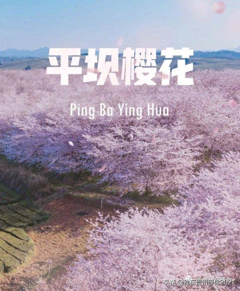 探索属兔农历十二月二十二是什么星座知识星球,解锁无限智慧!